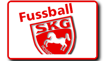 logo_fussball_rossdorf